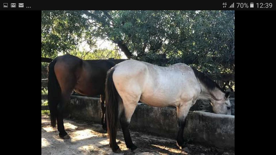 Pousada Rancho Flores Caeté Eksteriør bilde