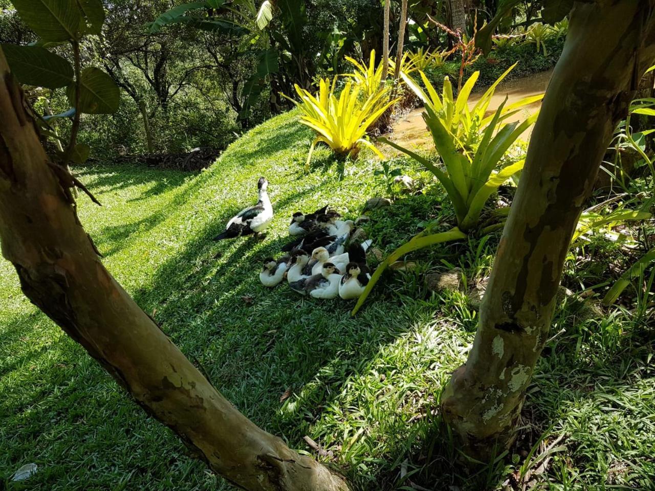 Pousada Rancho Flores Caeté Eksteriør bilde