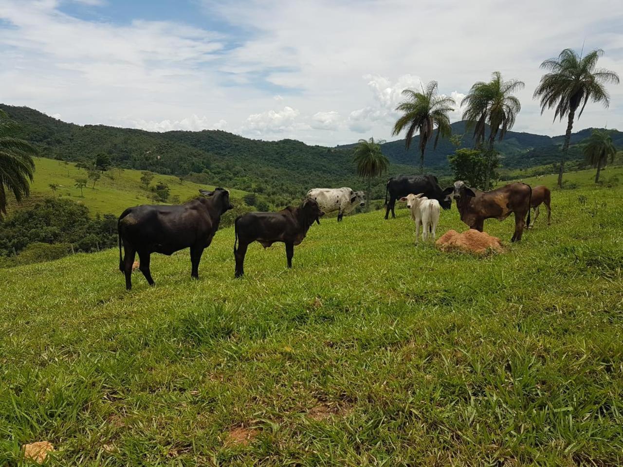 Pousada Rancho Flores Caeté Eksteriør bilde